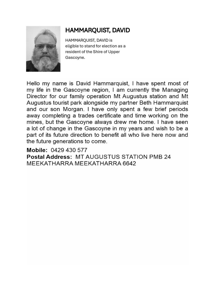 David Hammarquist 