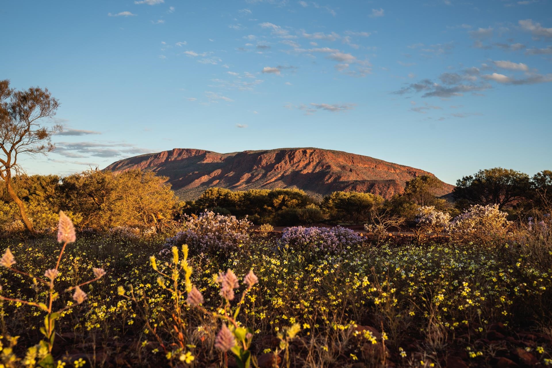 Picture: Mt Augustus 