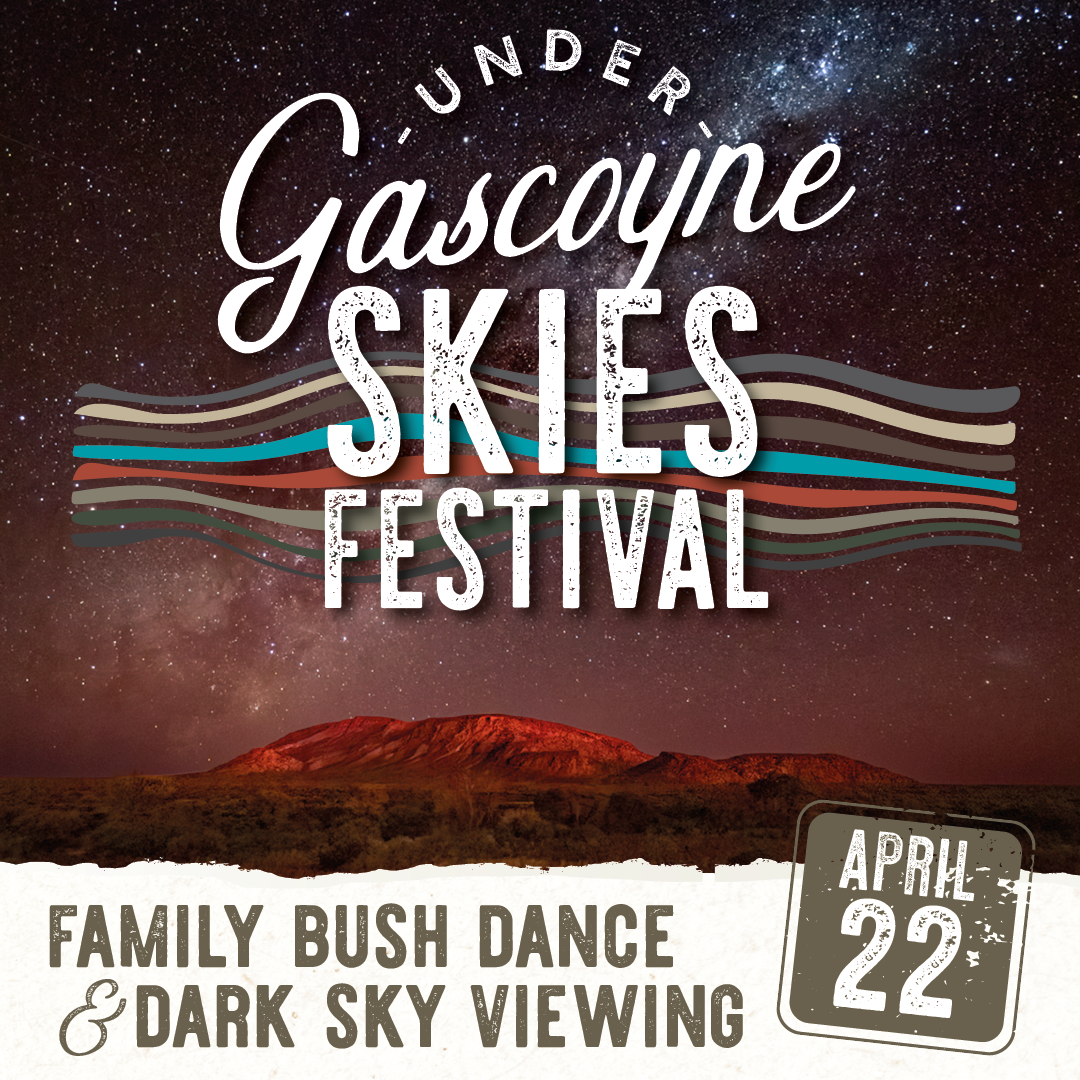 Family Bush Dance and Dark Sky Viewing