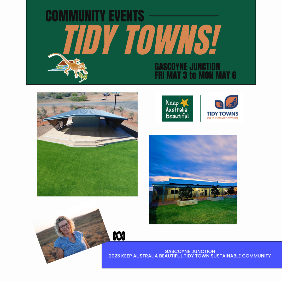 Community Events at Tidy Town Awards