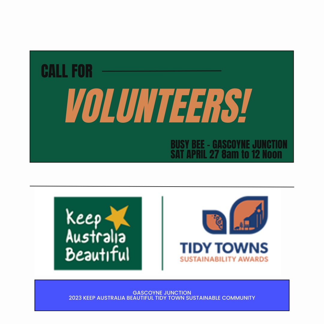 Busy Bee for Tidy Towns Awards